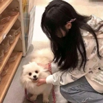 聊斋搜灵录bt版下载